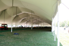 Tent-Large-UMASS-Dartmouth-1-DSCN0078