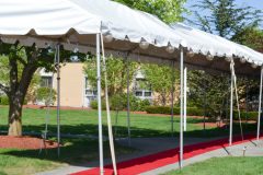 Tent-Marquee-and-Red-Carpet-DSC_0059