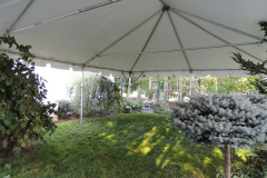 Tent-Unique-House-DSCN0693
