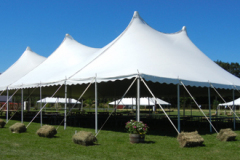 Pole-Tents