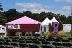 Tent-PINK-DSCN0204