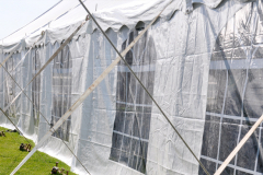 Tent-window-sidewalls-UMass-Medical-grad-6-5-11-138