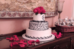 Wedding-Asa-Waters-DSCN0883